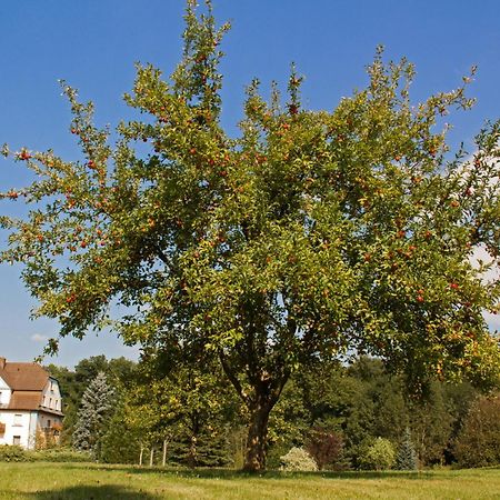Hotel Jaegerhof Staatsbad Brückenau Buitenkant foto