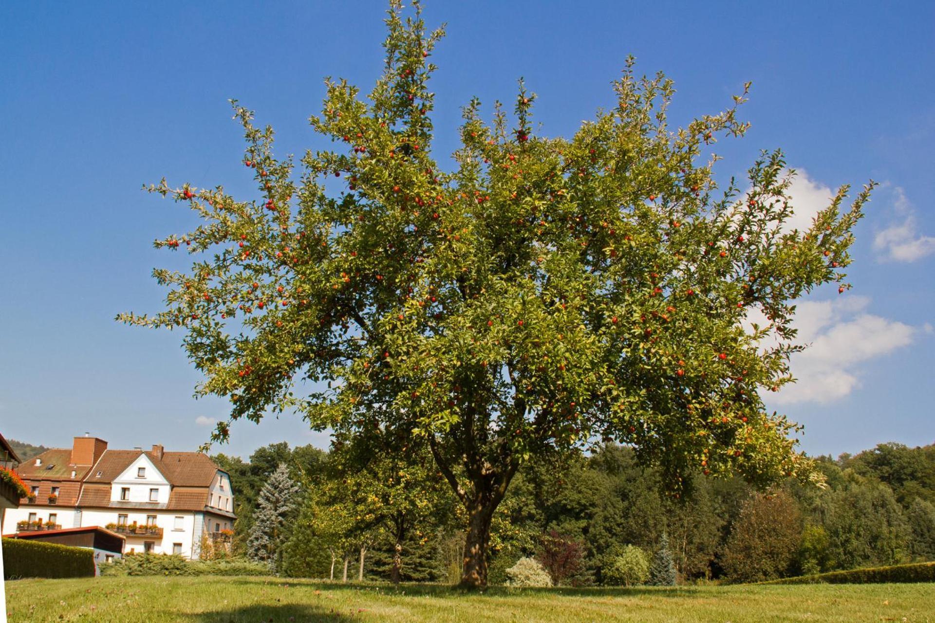 Hotel Jaegerhof Staatsbad Brückenau Buitenkant foto